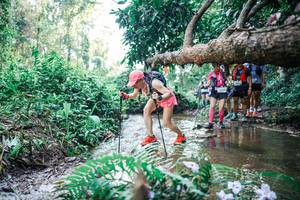 BIB: 
                            <button type="button" onclick="openModal(25454028)" class="btn btn-primary btn-sm float-right btn-popup" data-toggle="modal" data-target=".modal-high-quality">
                        <i class="fas fa-shopping-cart"></i> Add to Cart
                    </button>
                                            <button type="button" onclick="isThisMe(25454028, true)" class="btn btn-success btn-sm float-right btn-popup btn-isme hidden" data-toggle="tooltip" data-placement="bottom" title="นี่คือรูปของคุณใช่ไหม คลิกที่นี่เพื่อเอาเข้าอัลบั้ม">
                        <i class="fas fa-plus"></i> Add to album
                    </button>
                    <button type="button" onclick="isThisMe(25454028, false)" class="btn btn-warning btn-sm float-right btn-popup btn-isnotme hidden">
                        <i class="fas fa-ban"></i> Remove from album
                    </button>